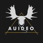 Auideo Radio