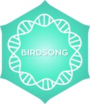 Positivity Radio – Positivity Birdsong