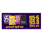 Rhythm FM Rhythm FM
