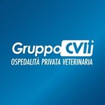Radio GruppoCVIT