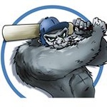 Guerilla Cricket