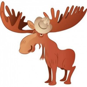 Newfie Country Newfie Country